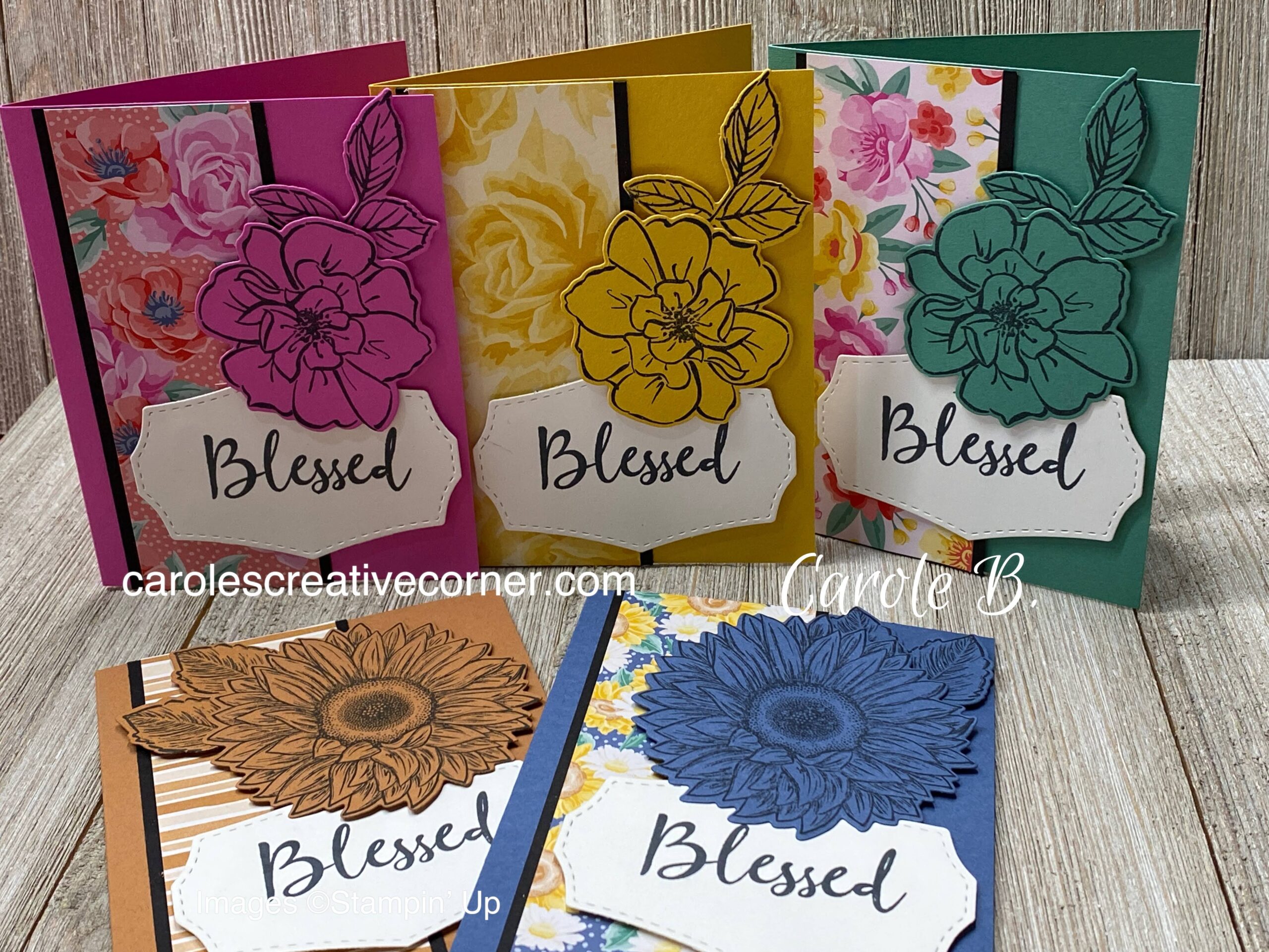 Stampin Up 2020-2021 New In-Colors